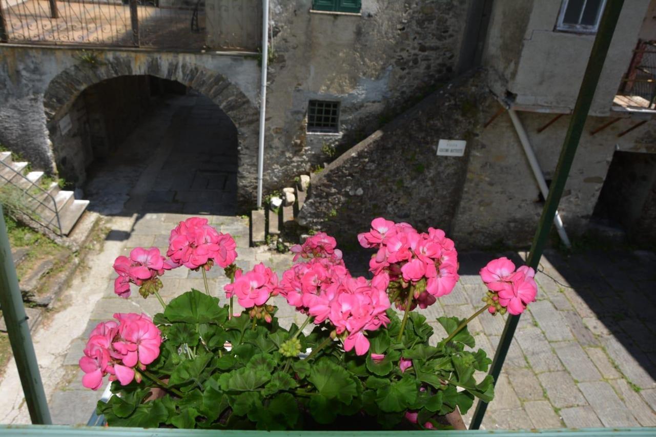 Agriturismo Ghirlanda Norma Rita Carrodano Inferiore Buitenkant foto
