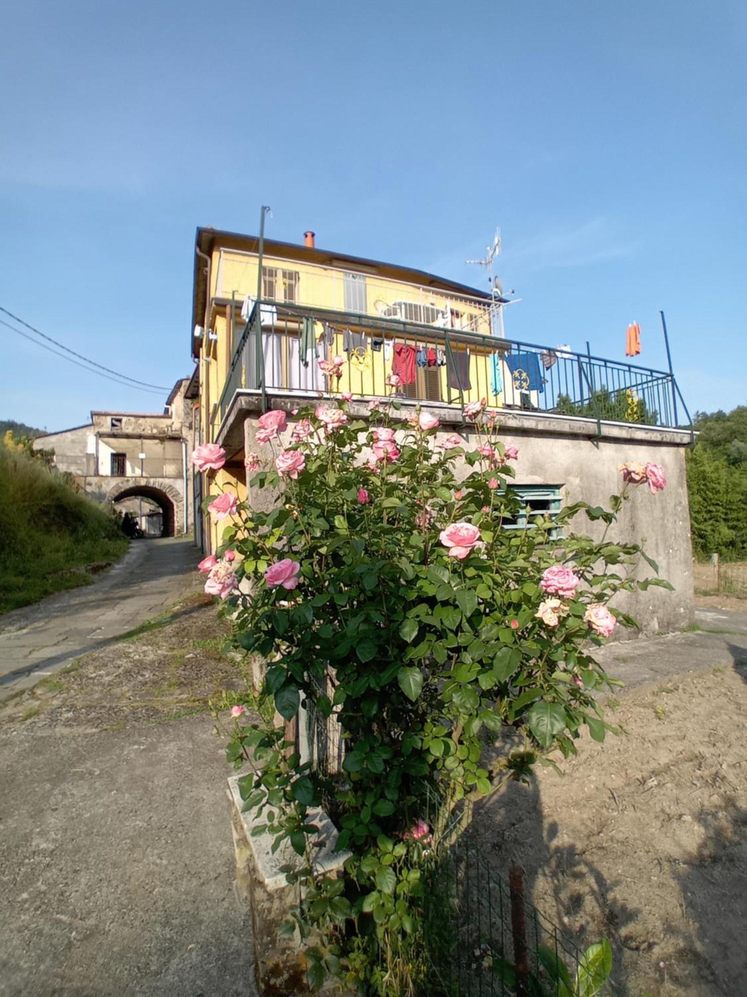 Agriturismo Ghirlanda Norma Rita Carrodano Inferiore Buitenkant foto